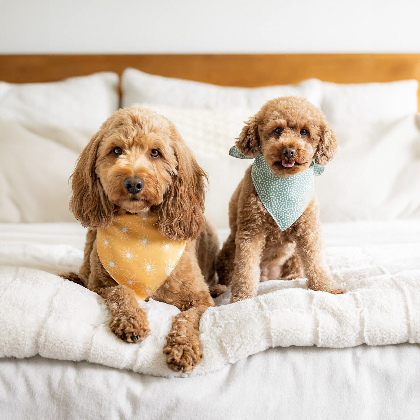 Pet Scarf Towel for Dogs and Cats