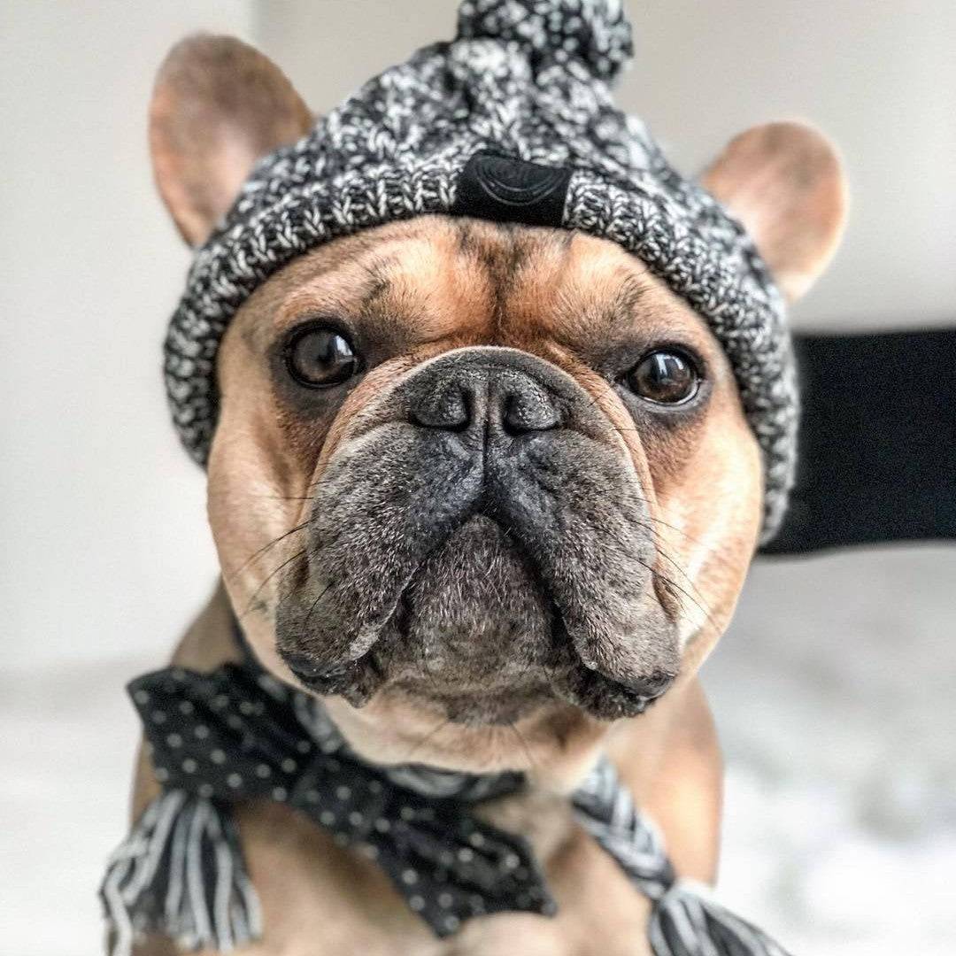 Knitted Puffy Dog Hat