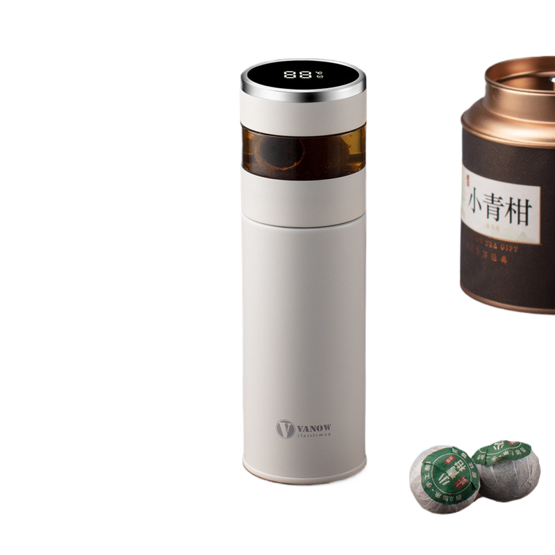 Smart Temperature Display Vacuum Insulated Cup with Tea Strainer