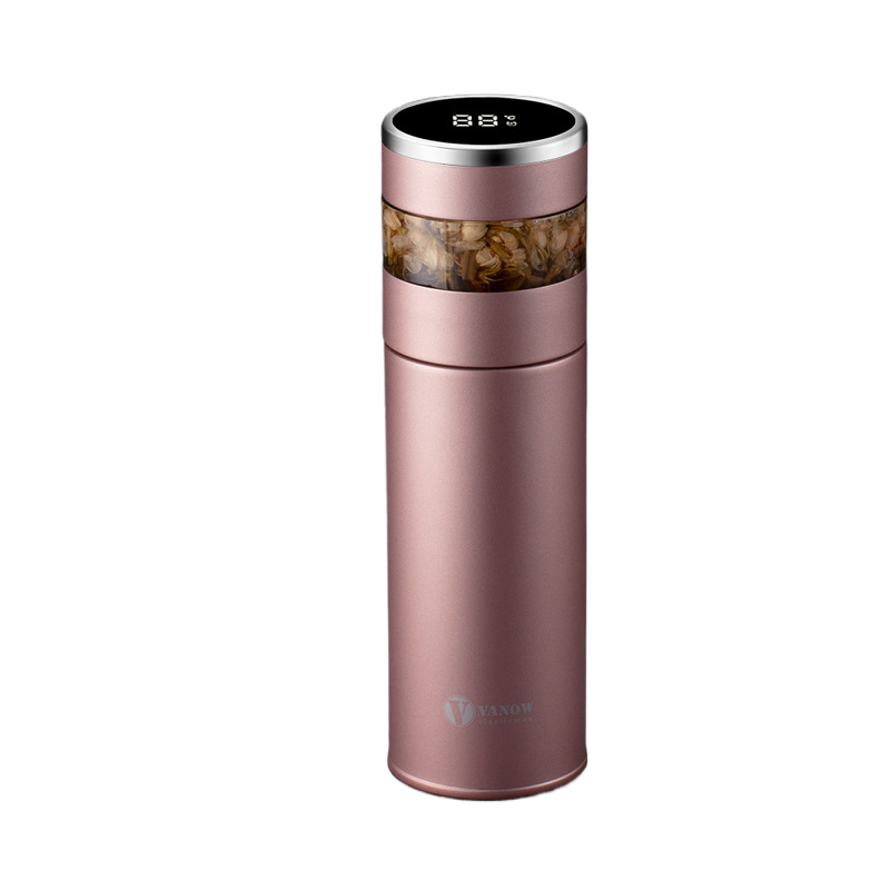 Smart Temperature Display Vacuum Insulated Cup with Tea Strainer