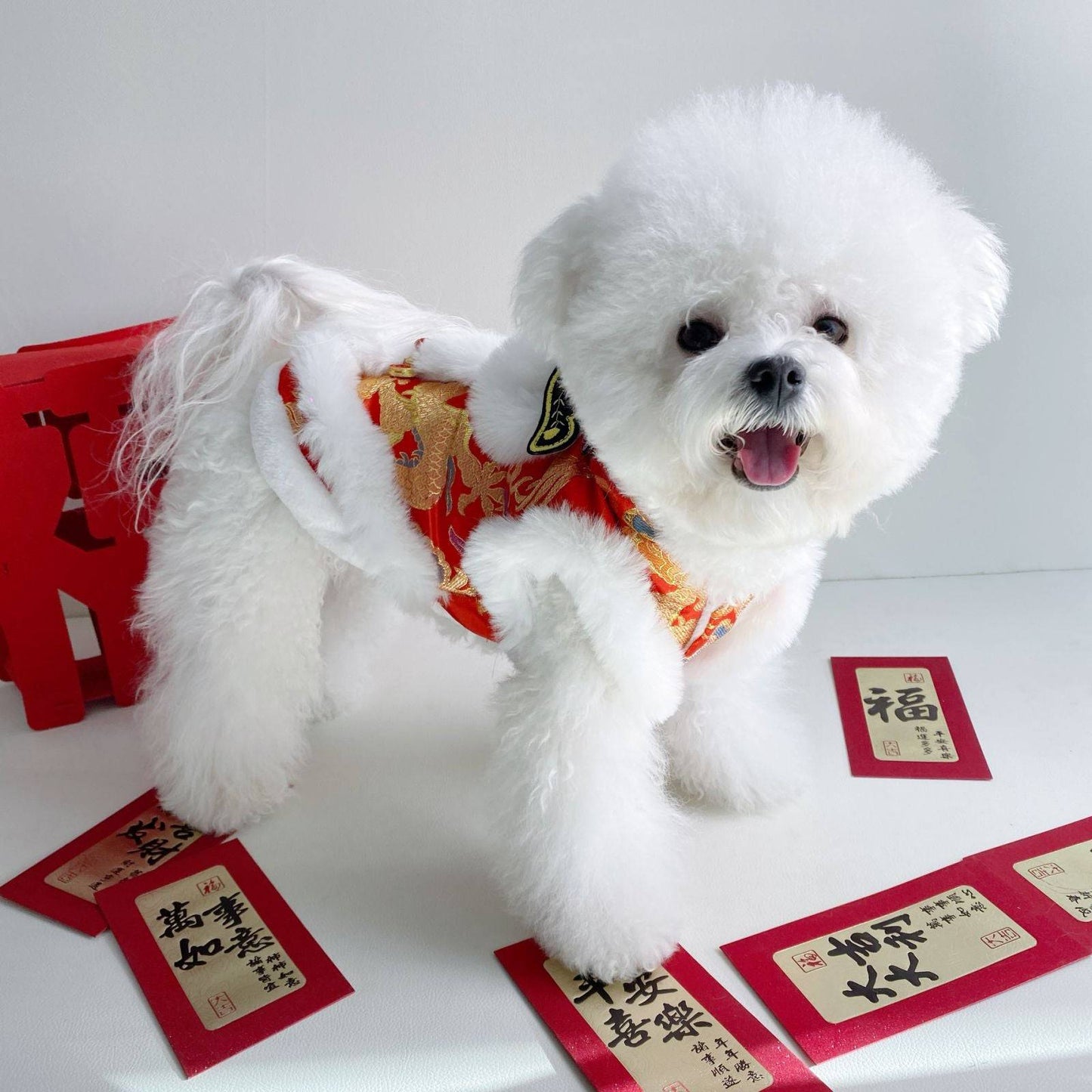 Hooded Tang Suit Winter Warm Pet Clothes for Dogs and Cats