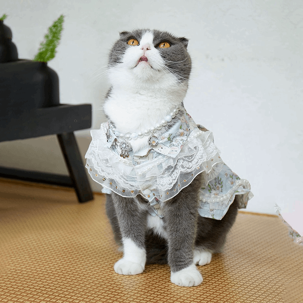 Cats and Dogs Pet Dress
