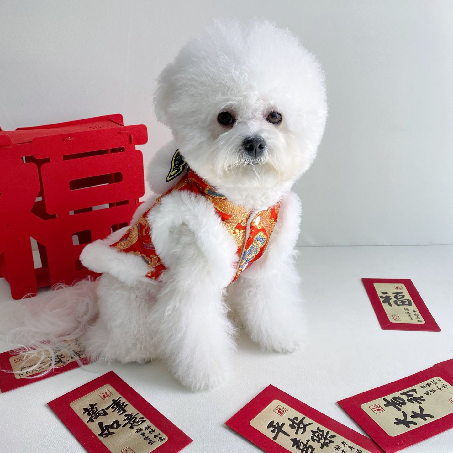 Hooded Tang Suit Winter Warm Pet Clothes for Dogs and Cats