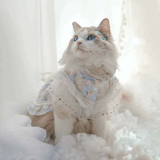 Cats and Dogs Pet Dress