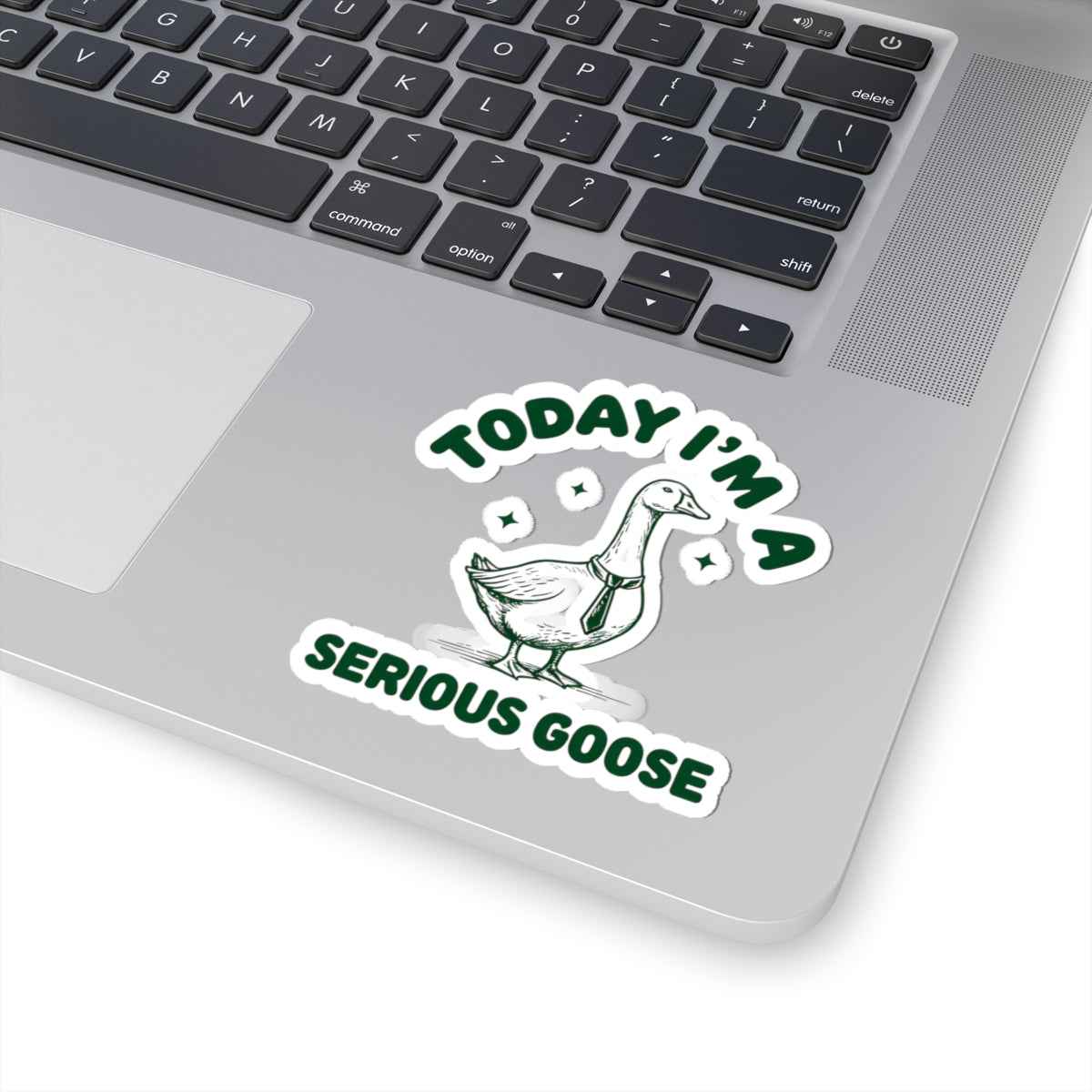 Today I'm a Serious Goose Quirky Sticker