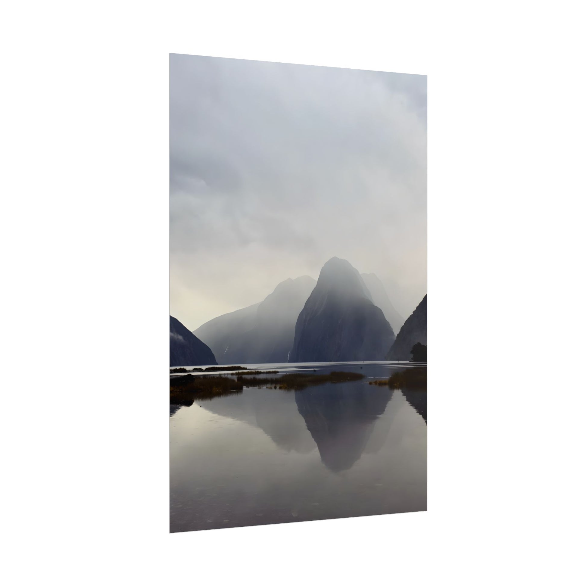 Rolled Posters for Art Enthusiasts
