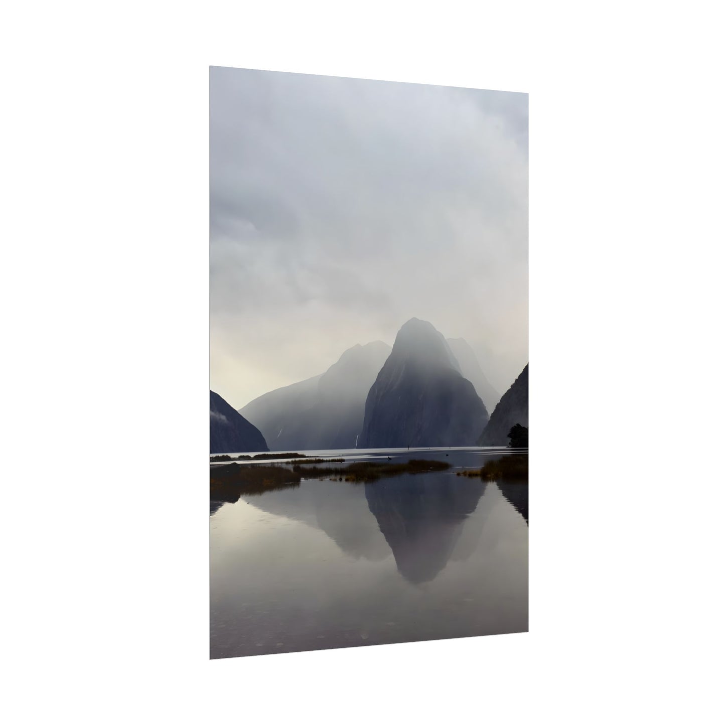 Rolled Posters for Art Enthusiasts