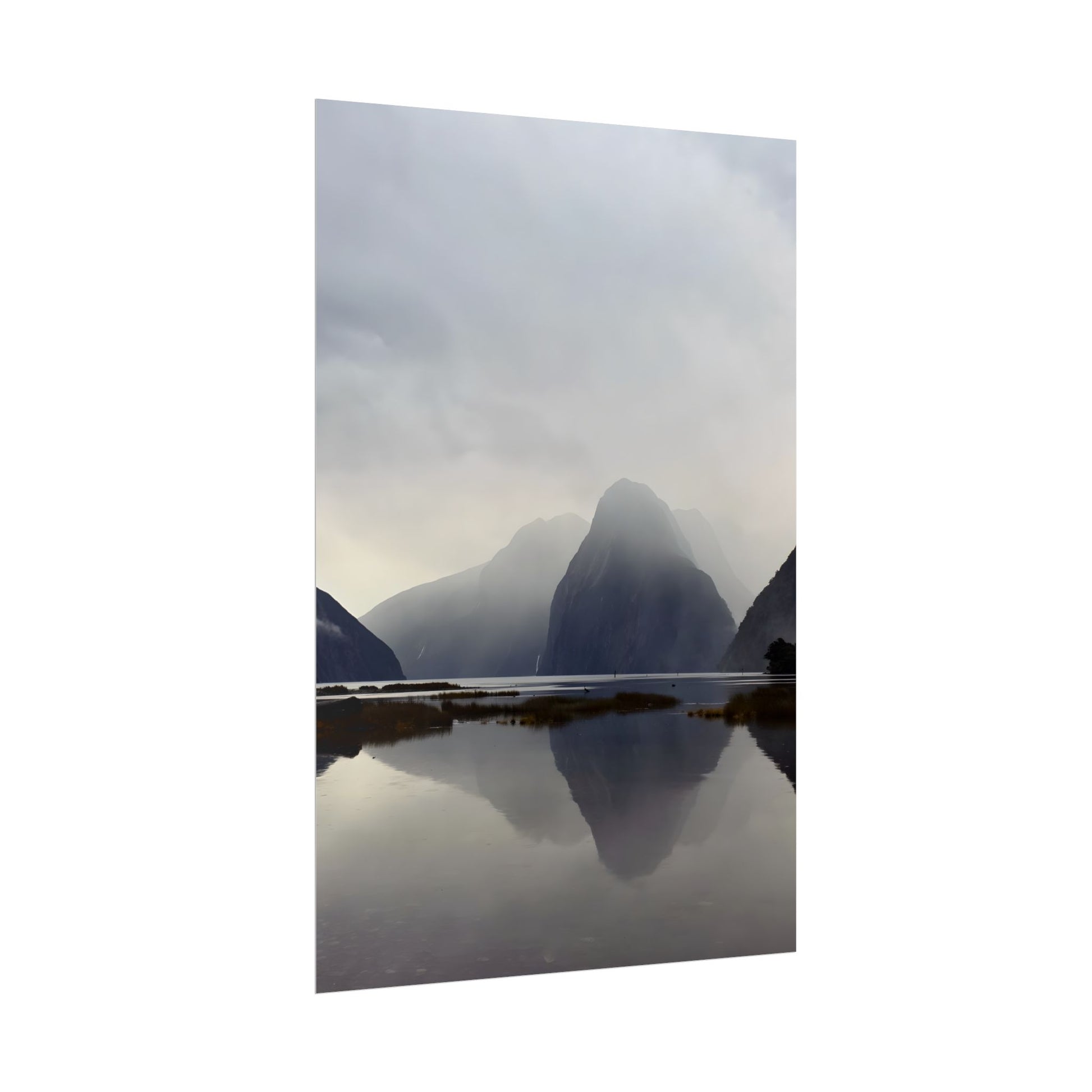 Rolled Posters for Art Enthusiasts
