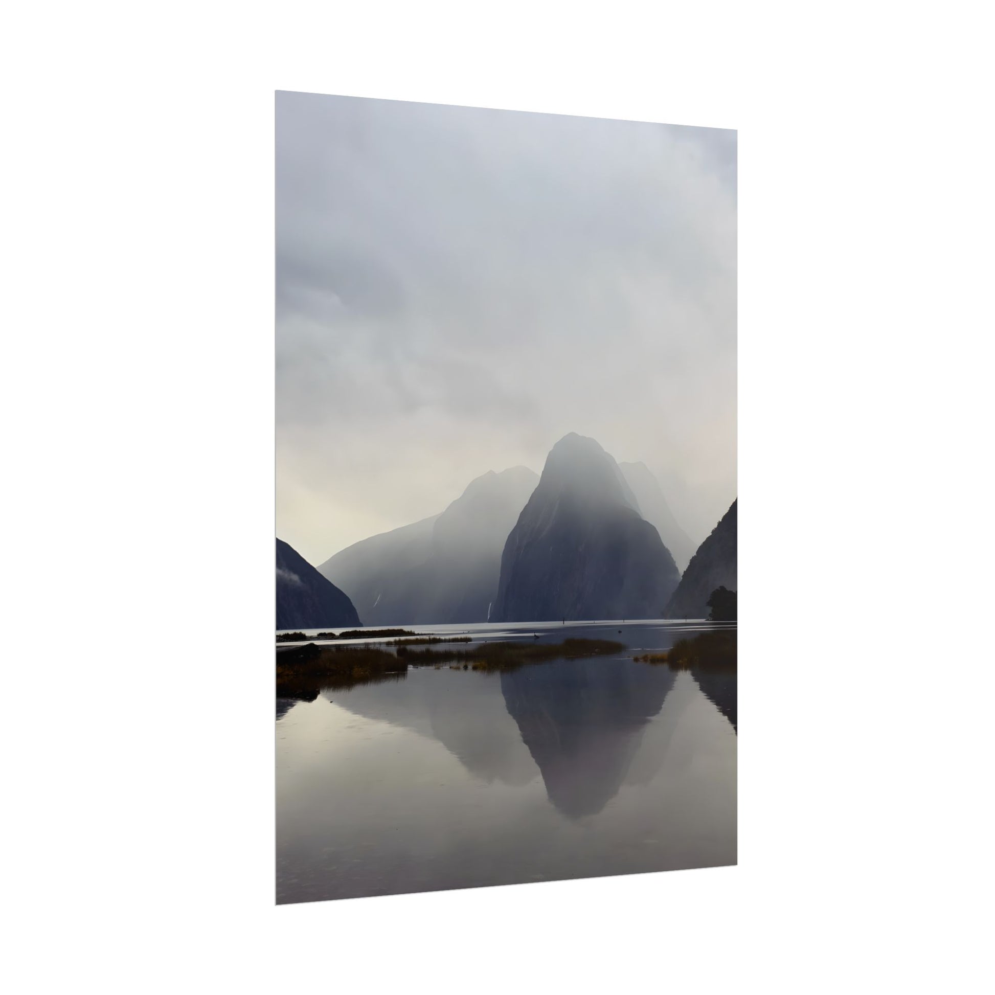 Rolled Posters for Art Enthusiasts
