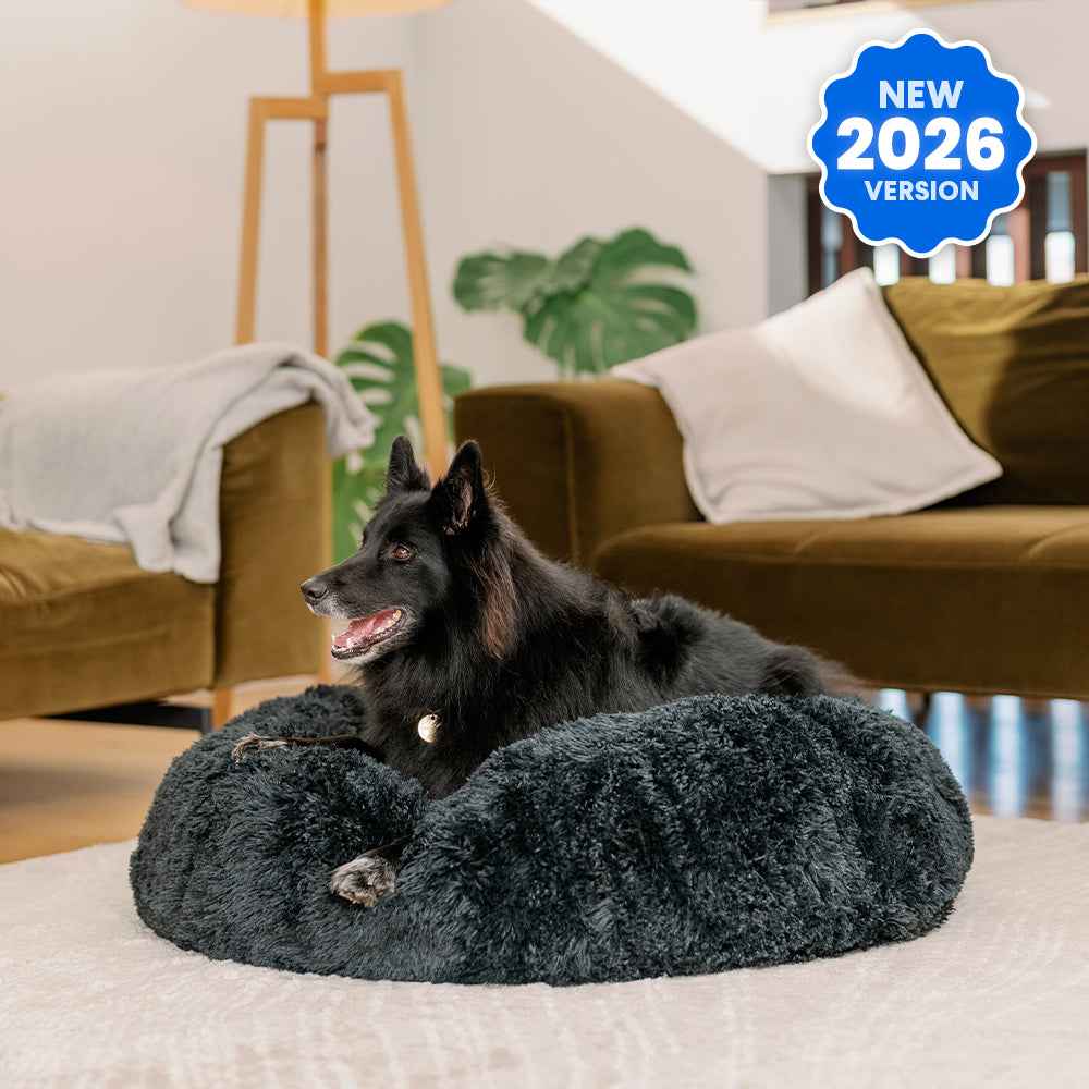 Brooklyn® Deep Sleep Pet Bed Black