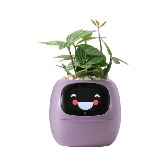 Tuya Ivy Smart Planter