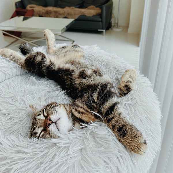 Brooklyn® Deep Sleep Cat Bed Light Grey