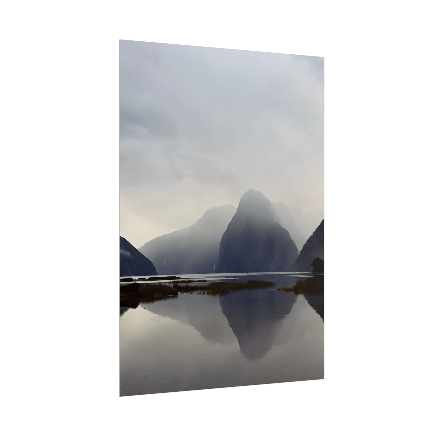 Rolled Posters for Art Enthusiasts