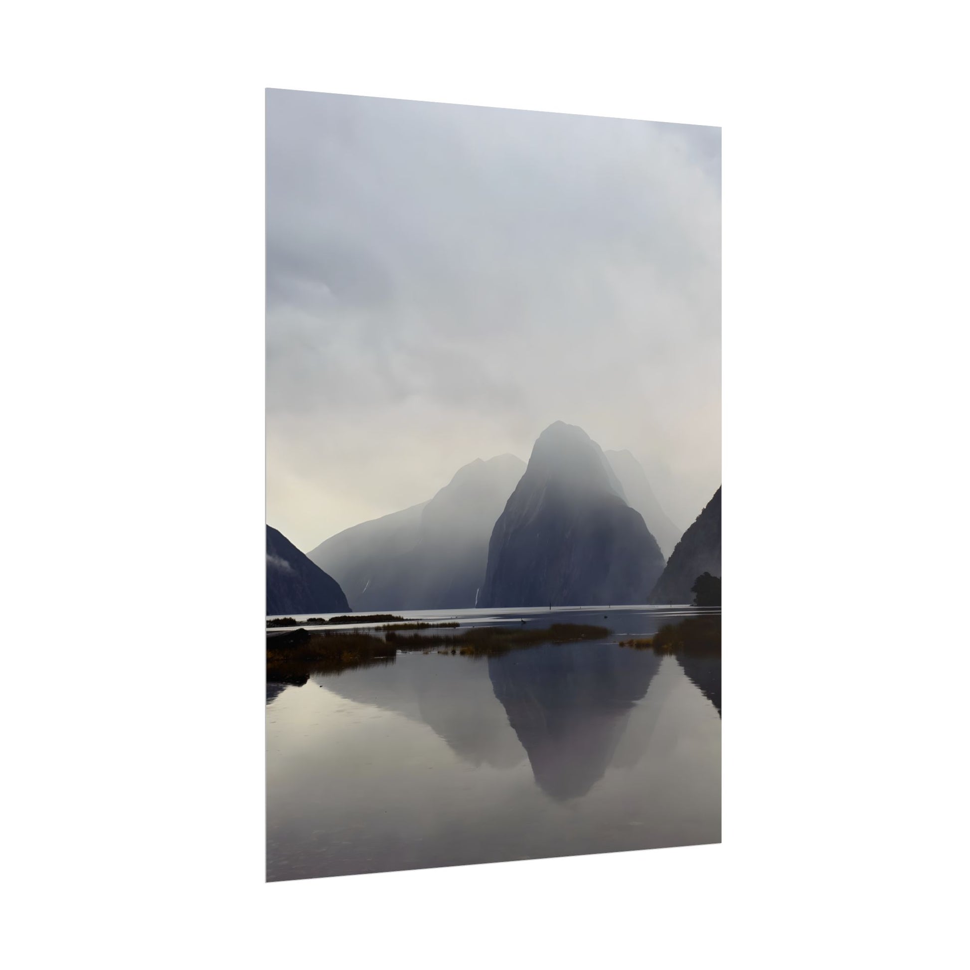 Rolled Posters for Art Enthusiasts
