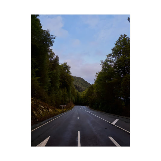New Zealand Road Trip Art Print 12" x 16" (Vertical) Semi Glossy