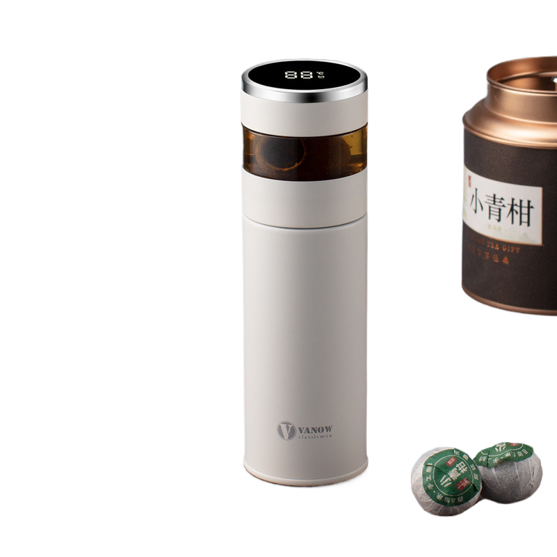 Smart Temperature Display Vacuum Insulated Cup with Tea Strainer