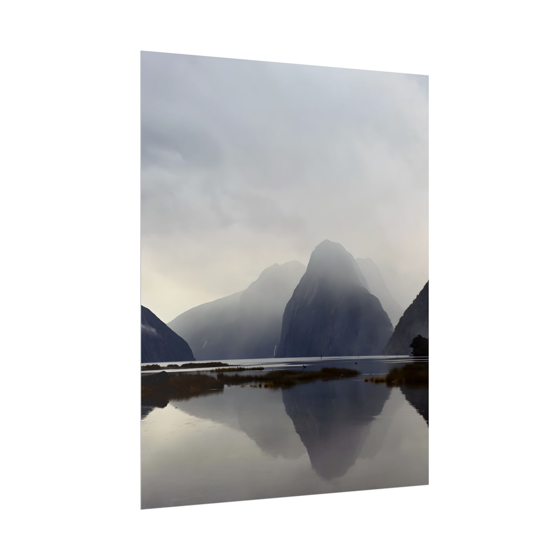 Rolled Posters for Art Enthusiasts