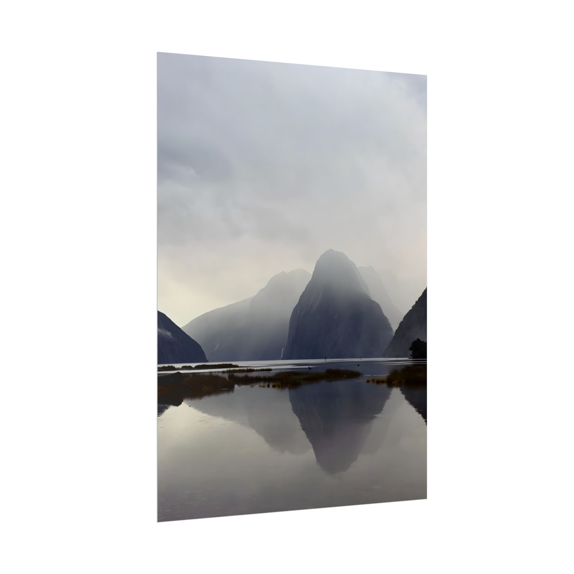 Rolled Posters for Art Enthusiasts