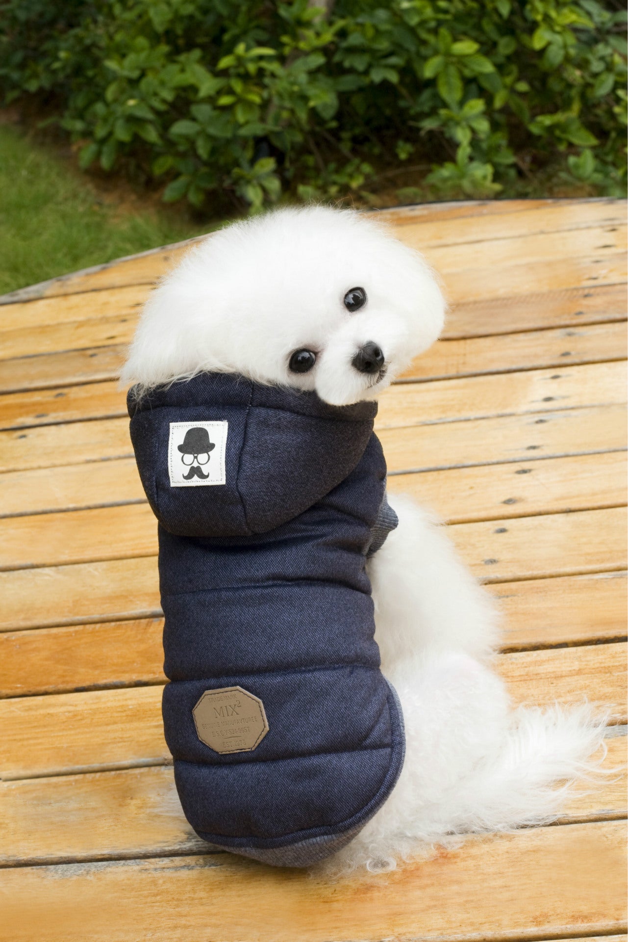 Dog Two-Layered Cotton Coat with Leg Coverage Navy blue L