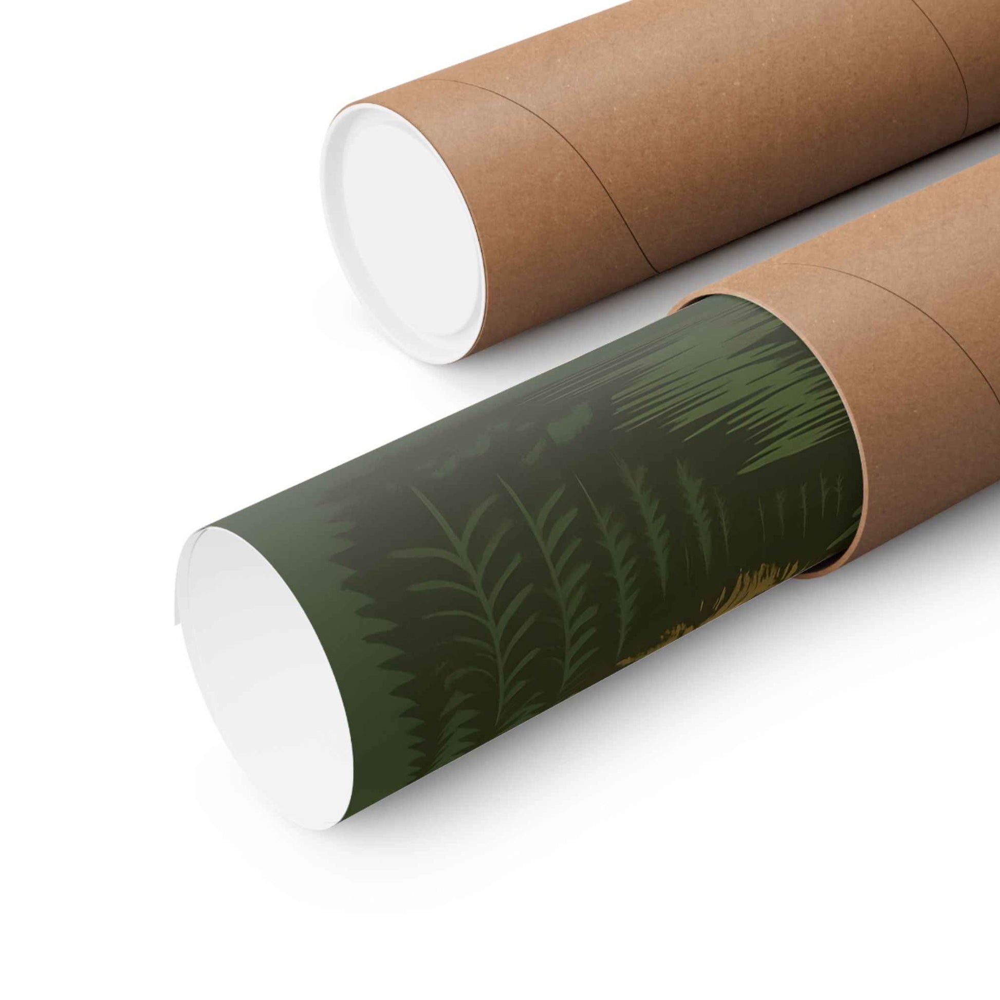 Nature Explorer Matte Posters