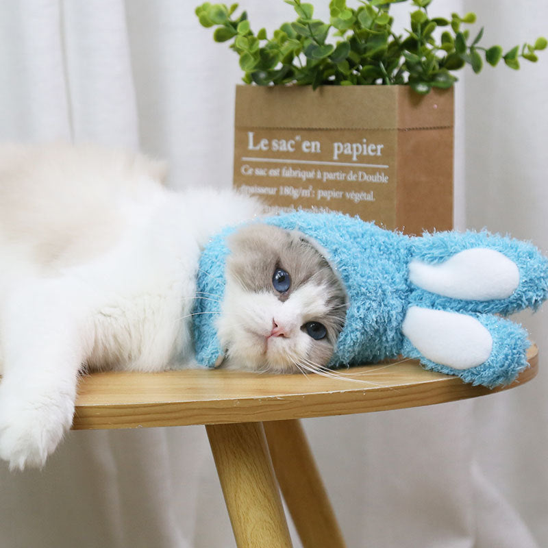 Pet Hat with Rabbit Ears