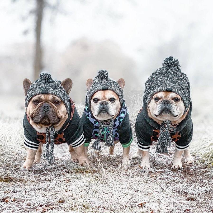 Knitted Puffy Dog Hat