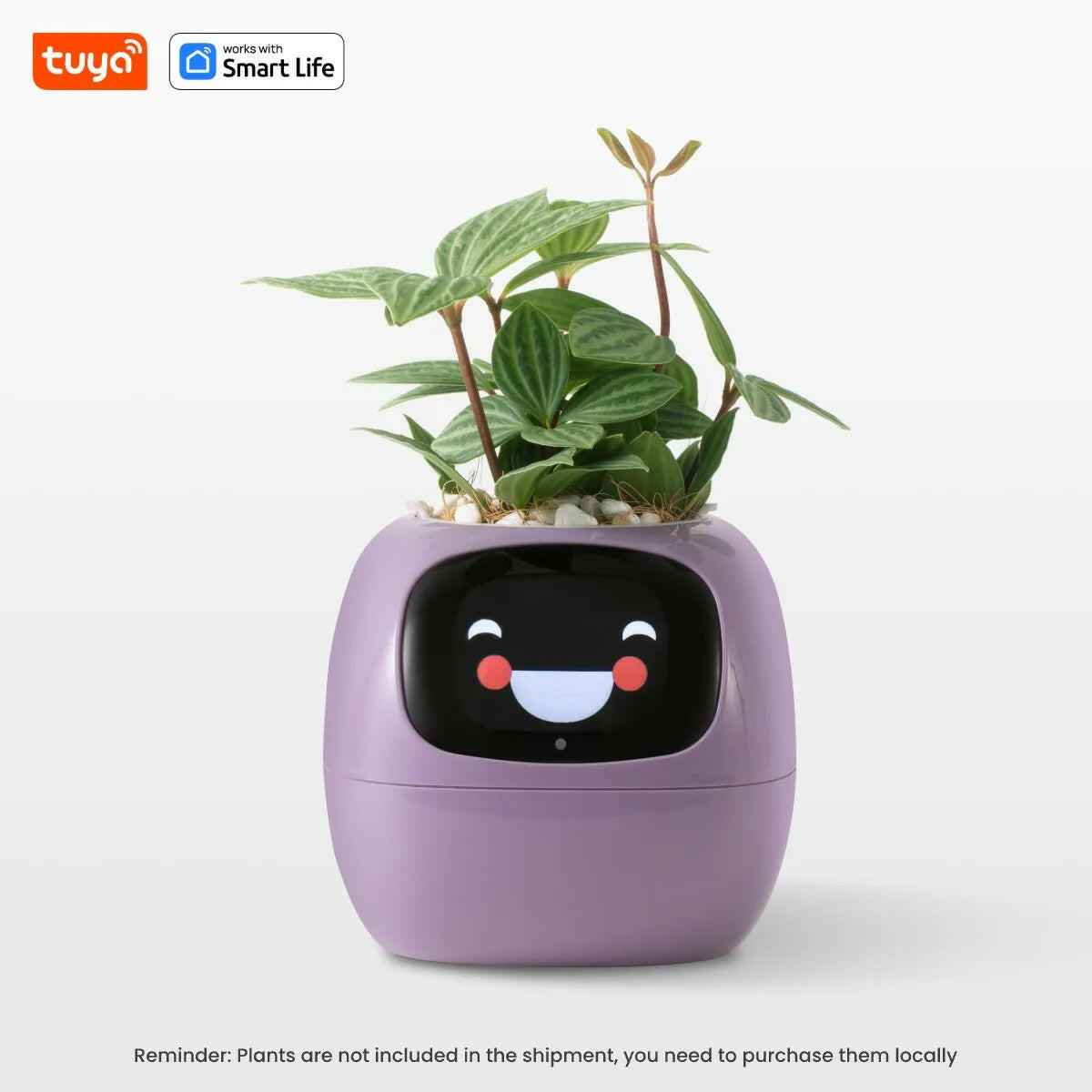 Tuya Ivy Smart Planter Purple