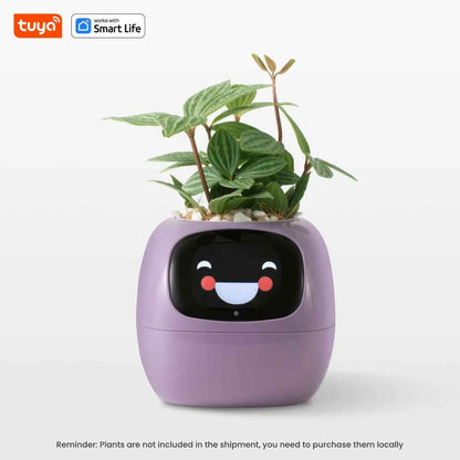 Tuya Ivy Smart Planter Purple