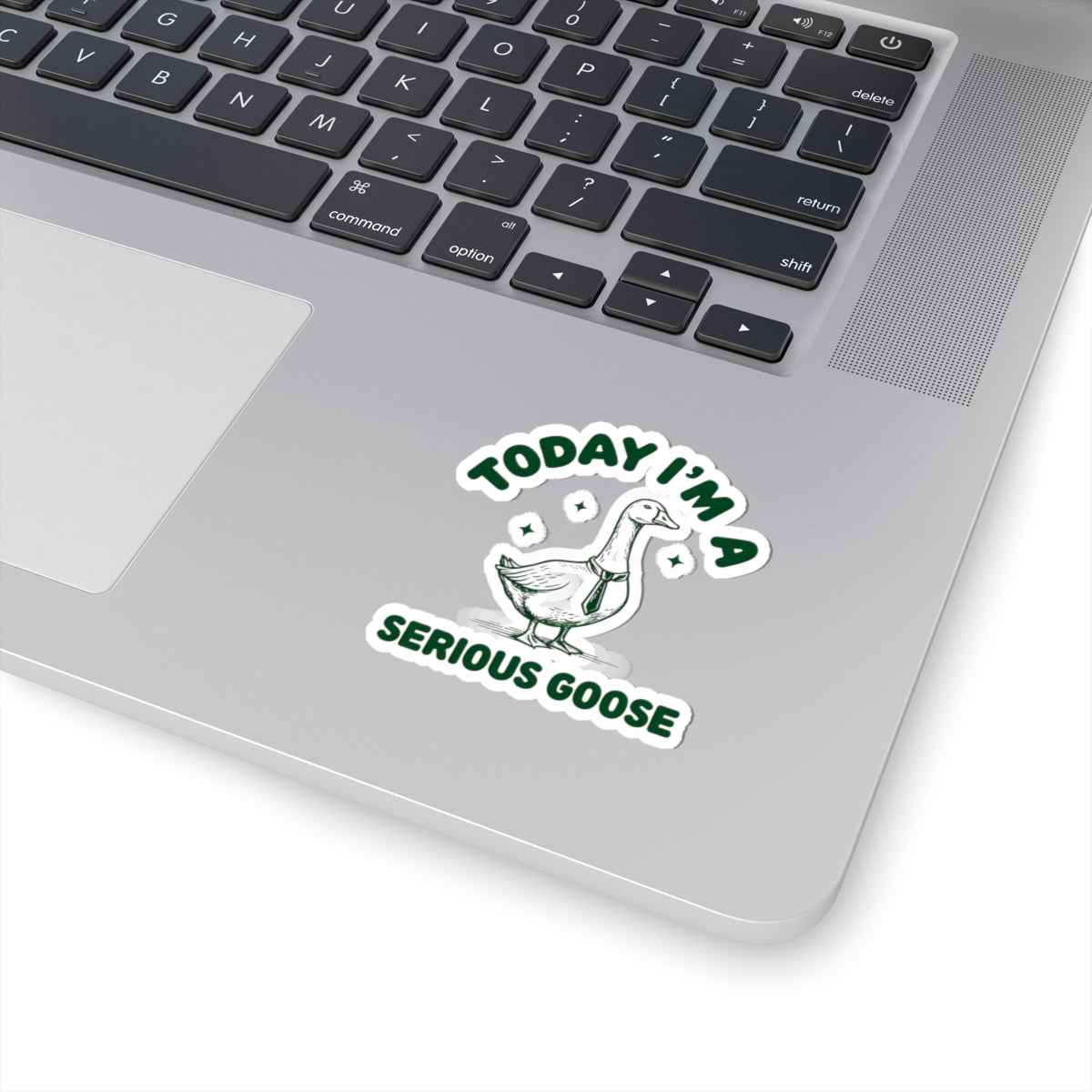 Today I'm a Serious Goose Quirky Sticker