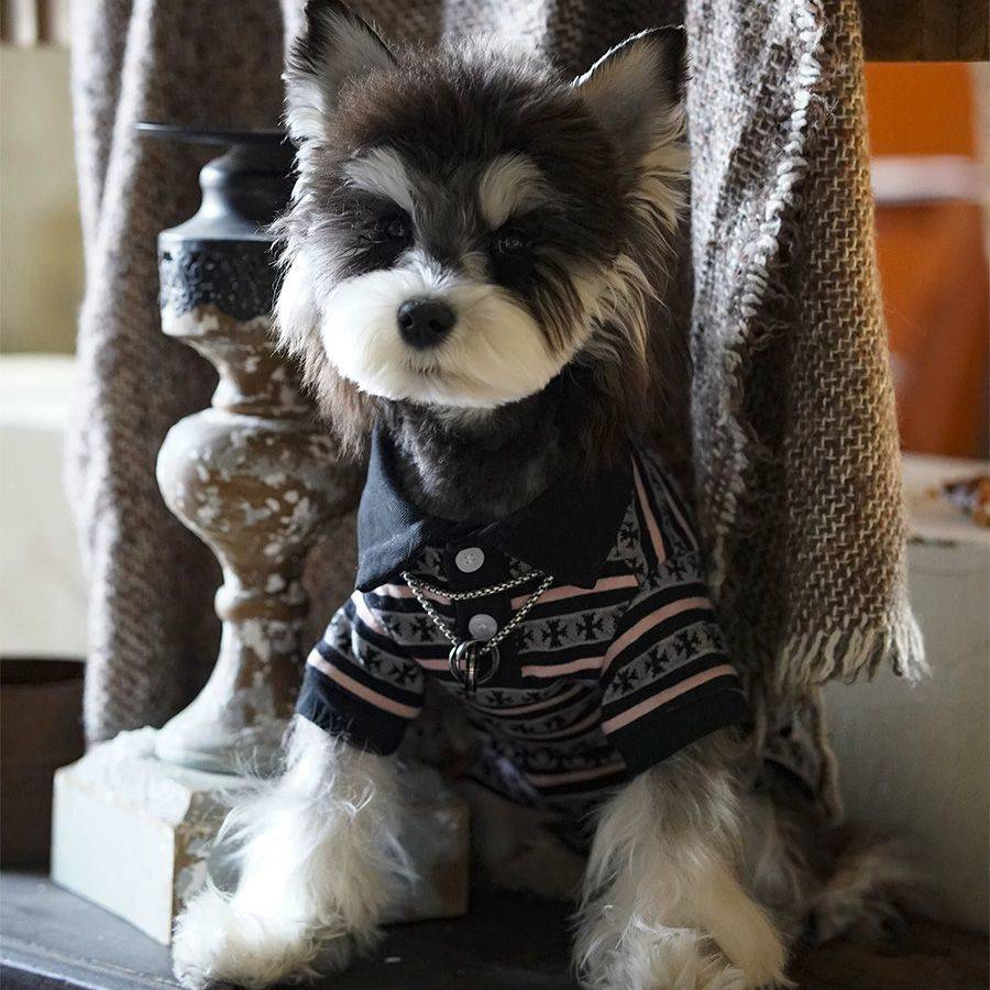 Stylish Plaid Polo T-Shirt for Dogs