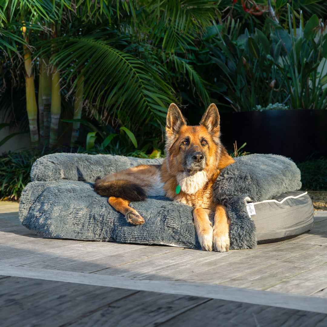Brooklyn® Chew Resistant Luxe Lounger (2-in-1 Dog Bed)