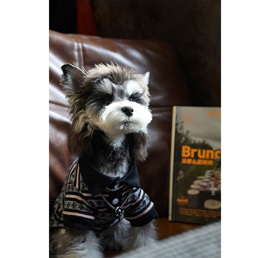 Stylish Plaid Polo T-Shirt for Dogs