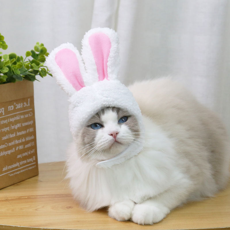 Pet Hat with Rabbit Ears
