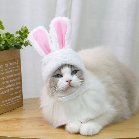 Pet Hat with Rabbit Ears