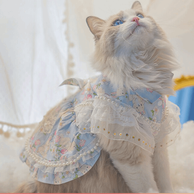 Cats and Dogs Pet Dress