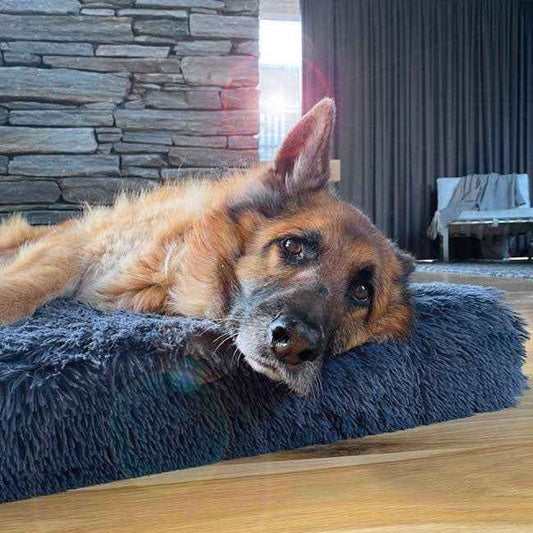 Brooklyn® Ultra Memory Foam Bed Chalk Grey