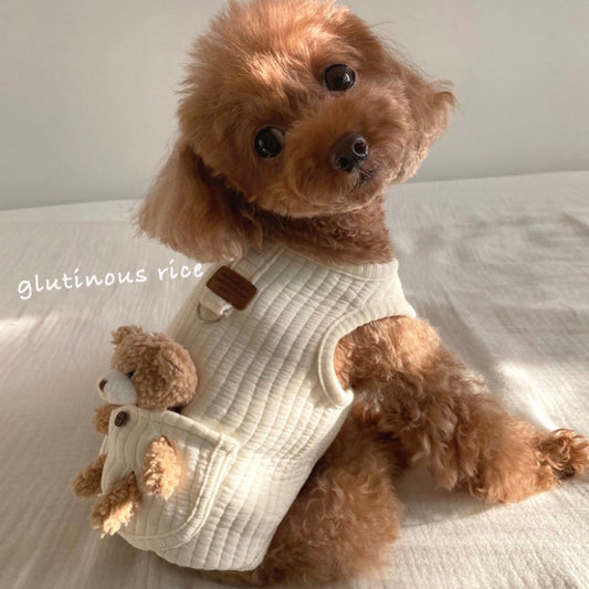 Cute Dog Outfit