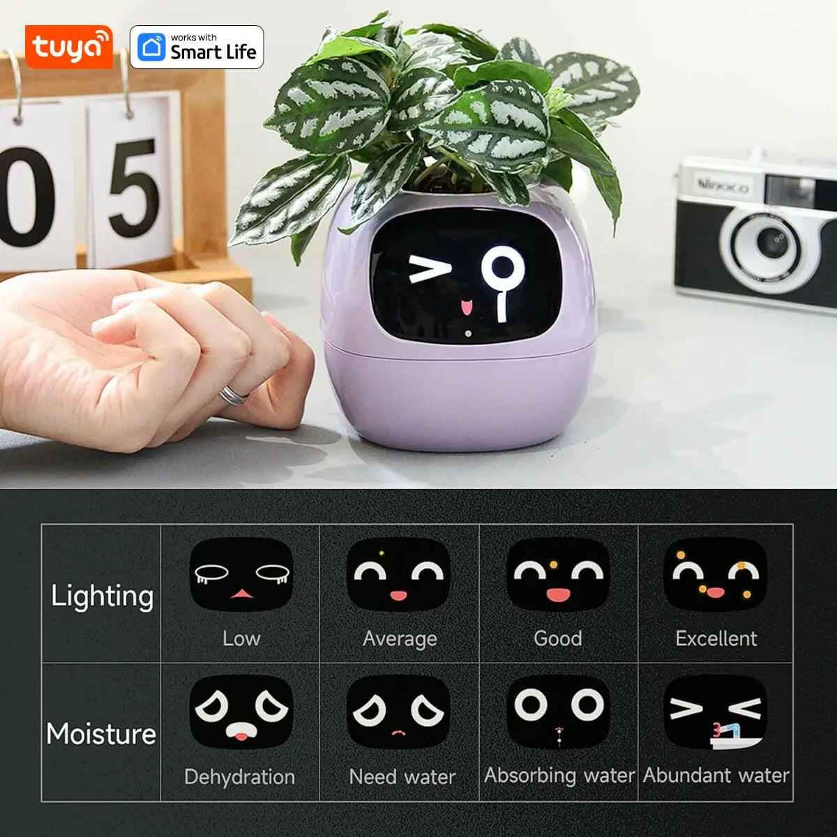 Tuya Ivy Smart Planter