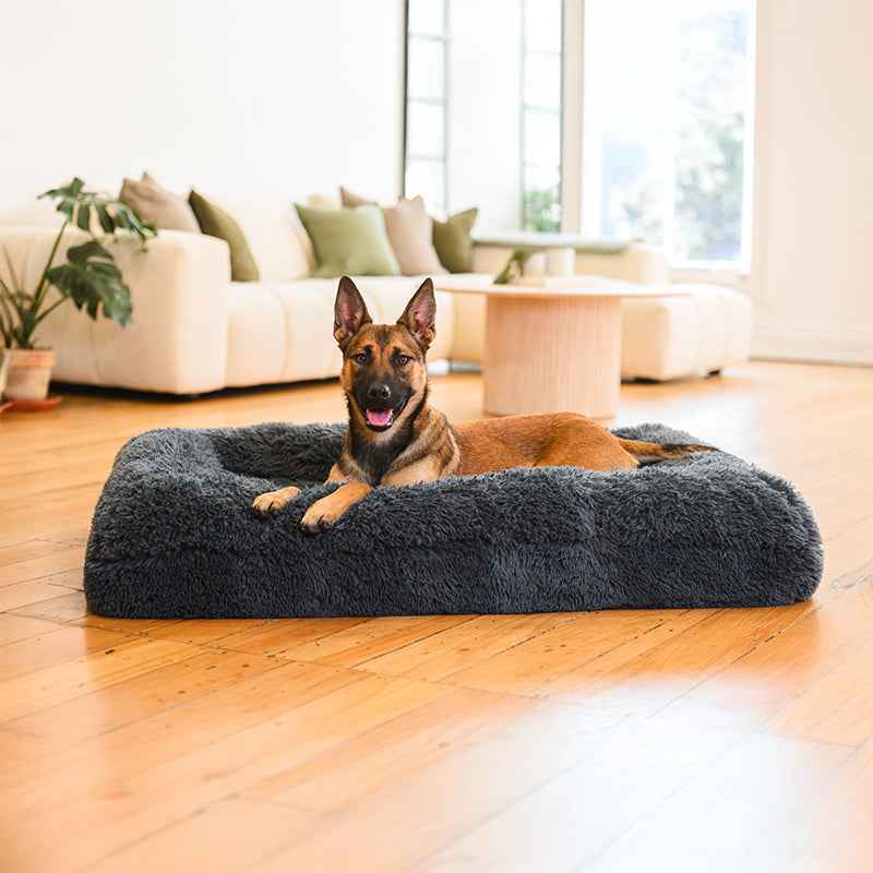 Brooklyn® Memory Foam Bolster Bed