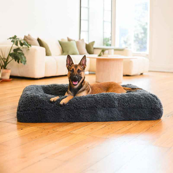 Brooklyn® Memory Foam Bolster Bed