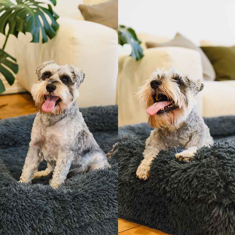 Brooklyn® Memory Foam Bolster Bed