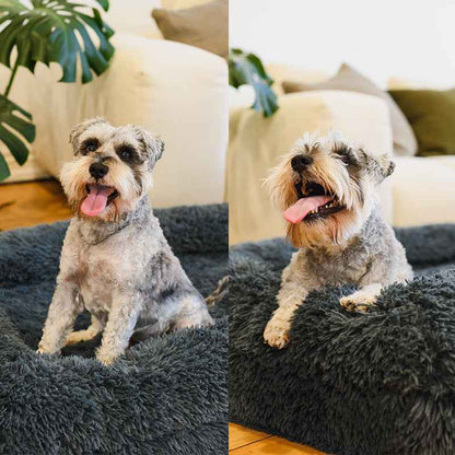 Brooklyn® Memory Foam Bolster Bed