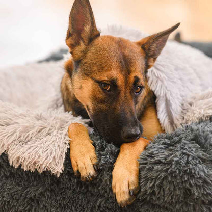 Brooklyn® Memory Foam Bolster Bed