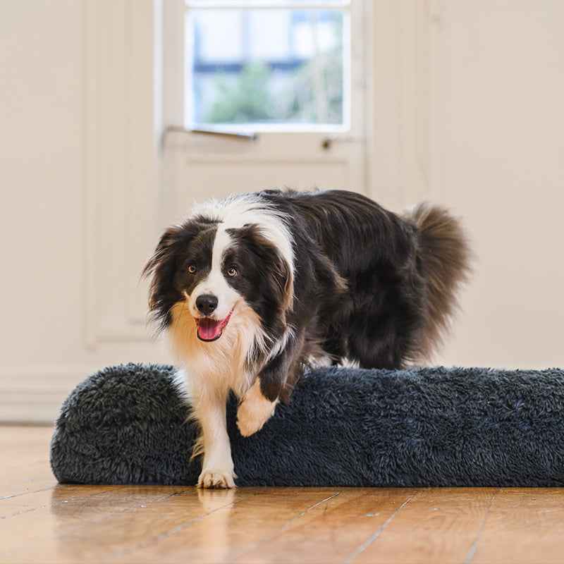 Brooklyn® Memory Foam Bolster Bed